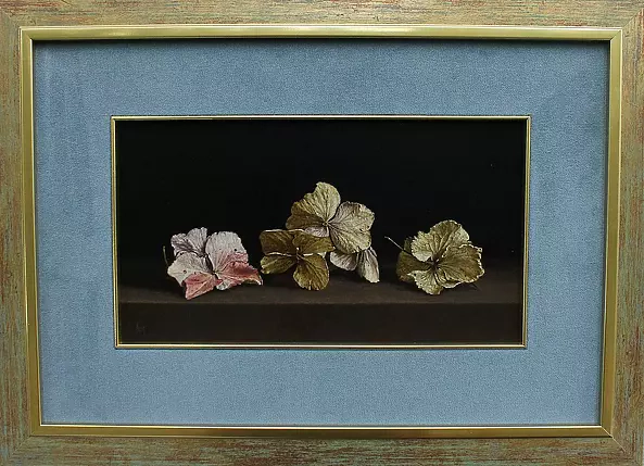 Maciej Cichocki - Hortensje