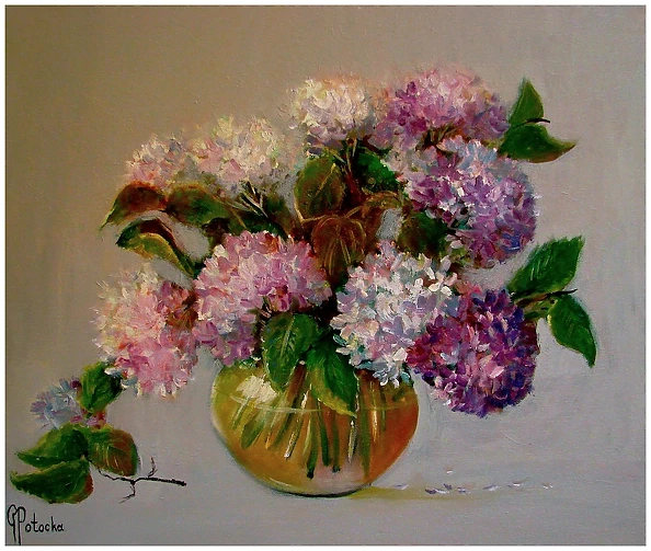 Grażyna Potocka - Hydrangeas oil painting on canvas 50-60cm