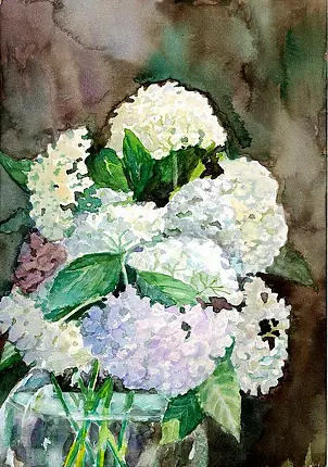 Zdzisław Rutkowski - Hortensje w dzbanie