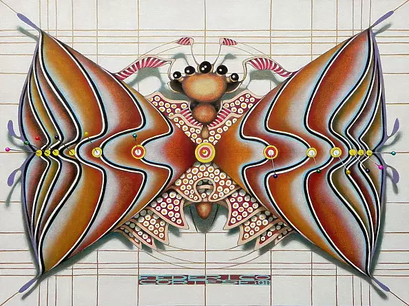 federico cortese - Hourglass butterfly