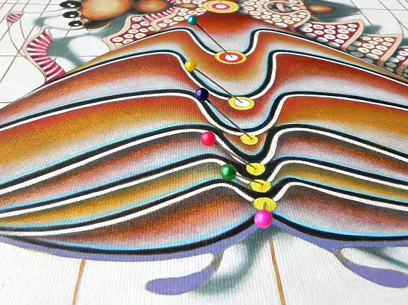 federico cortese - Hourglass butterfly