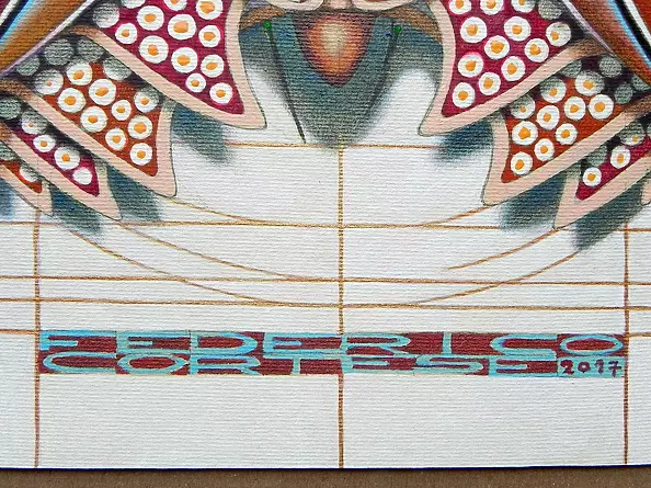 federico cortese - Hourglass butterfly