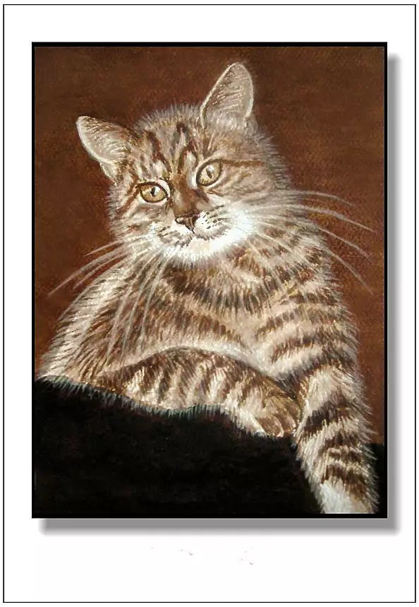 Jolanta Dusza - Hrabia