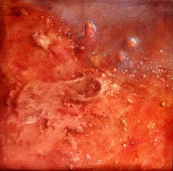 Iwona Markowicz Winiecka -  Human (cyklTrzy dni),2008, 