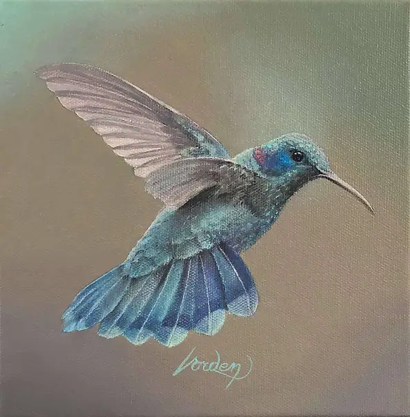 Vorden ., Hummingbird, Ölbild - Leinwand, 20 x 20