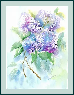 Maria Roszkowska - Hydrangea