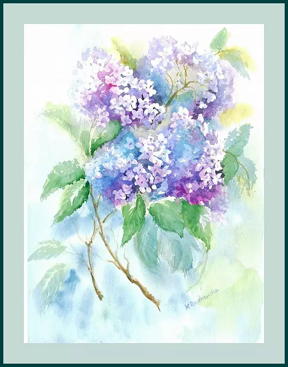 Maria Roszkowska - Hydrangea