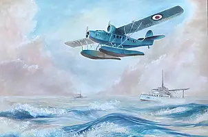 Anna Forycka Putiatycka - Seaplane in action