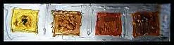 Simona Minghi - Hypothesis