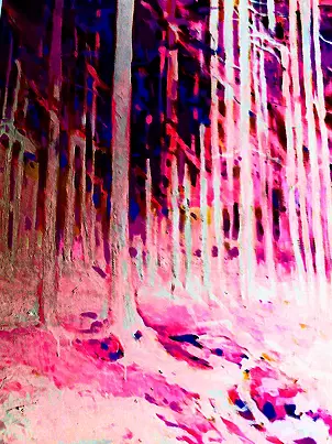 Marek Kubski - LAS coniferous