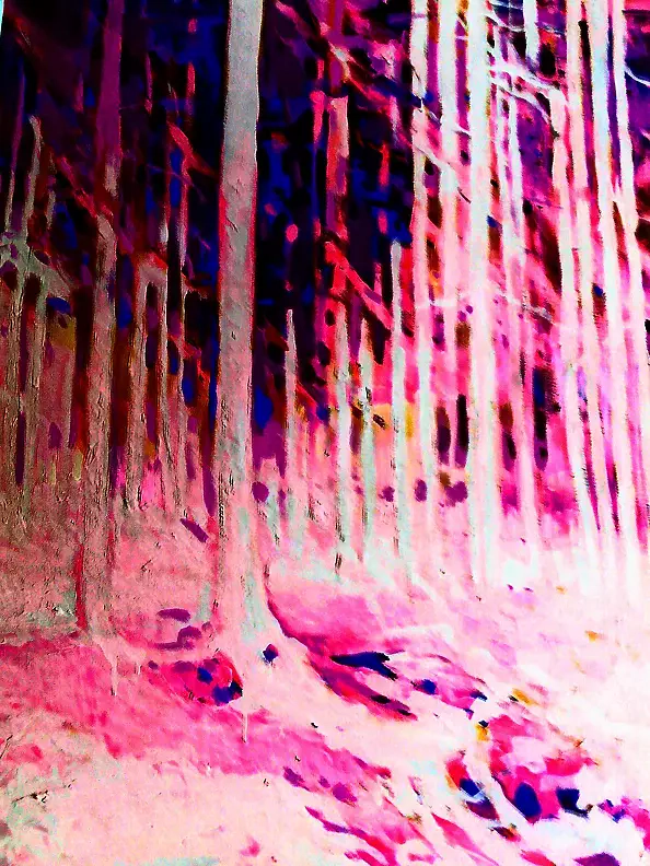 Marek Kubski - IGLASTY LAS