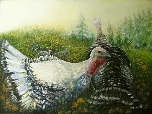 Joanna Brzostowska - TURKEYS