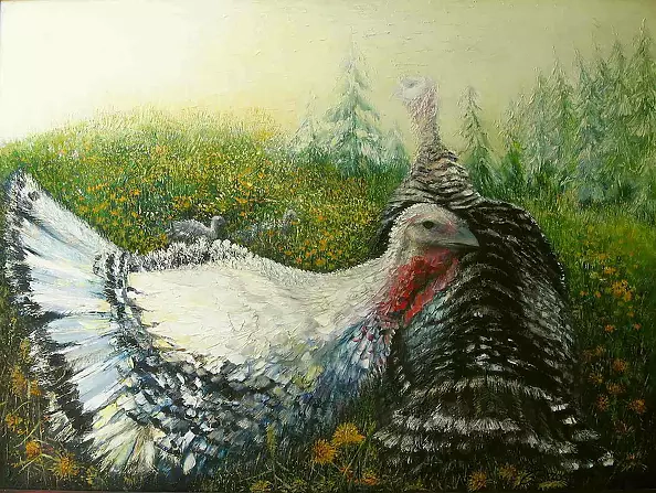 Joanna Brzostowska - TURKEYS