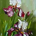 Dorota Łaz - Irises