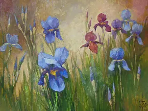 Józef Łącki - Irises