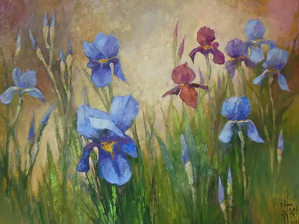 Józef Łącki - Irises