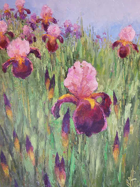 Józef Łącki - Irises