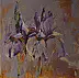Marcin Mikołajczak - Irises