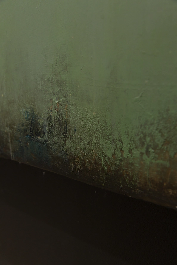 Łukasz Olek - I Can't Hear The Birds