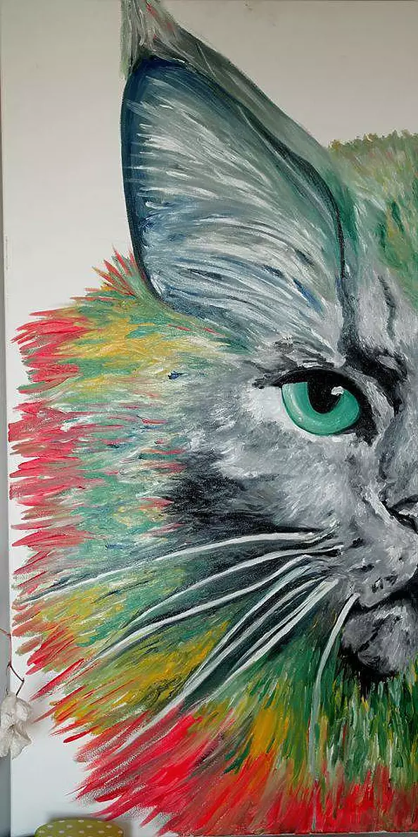 Anna Witek - I love my Maine Coon