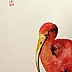 Artur Cieślar - Ibis