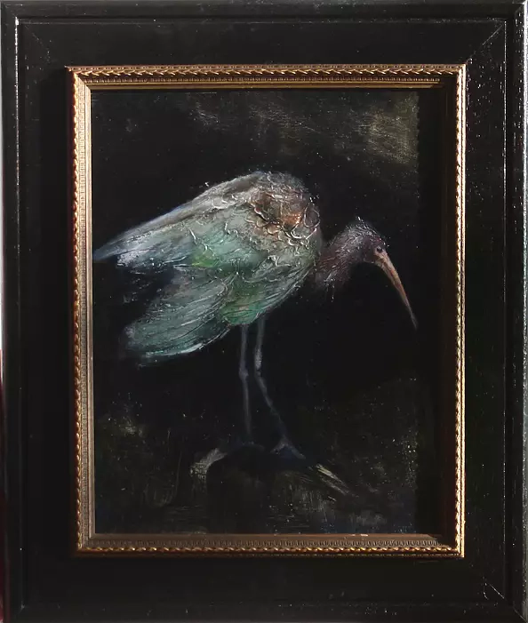 Gosia Bolwijn Wiese - Ibis