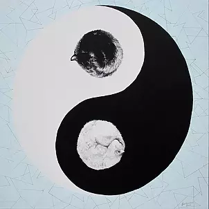 Zuzanna Zu Jankowska - Ideal Yin Yang