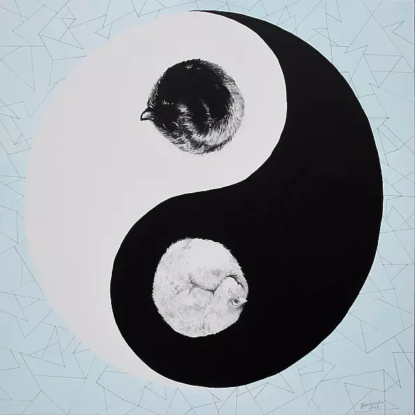 Zuzanna Zu Jankowska - Ideal Yin Yang