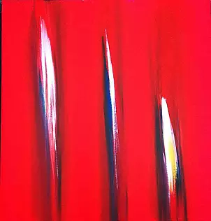 Ennio Finzi - Il verso del colore XIV