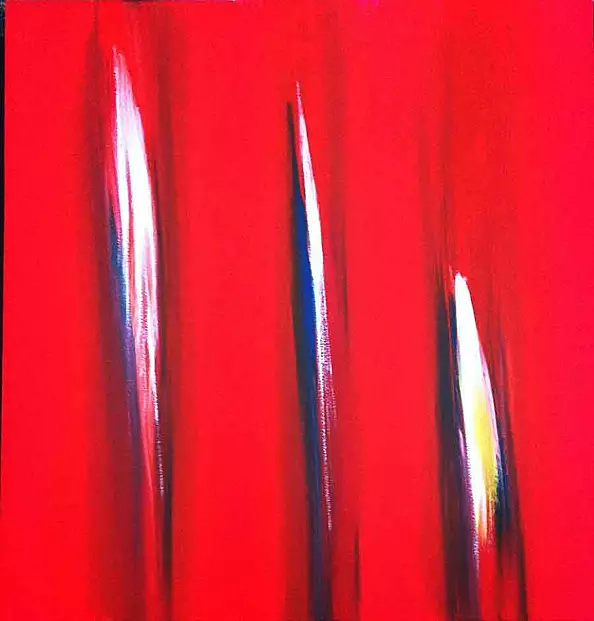 Ennio Finzi - Il verso del colore XIV