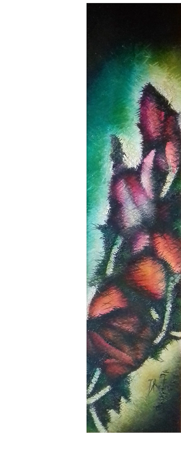 Rafał Jarosz - Iluzjonistyczne Tulipany