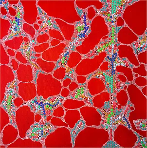 Mariusz Czajkowski - Inspirations aborigènes modernes et imaginaires #1