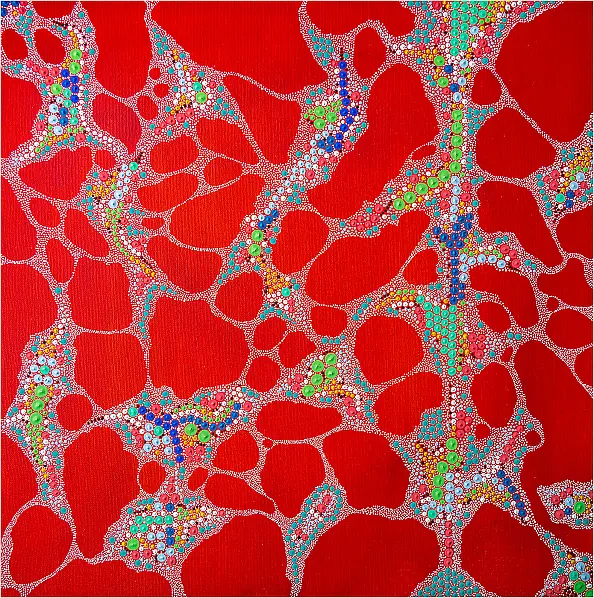 Mariusz Czajkowski - Inspirations aborigènes modernes et imaginaires #1