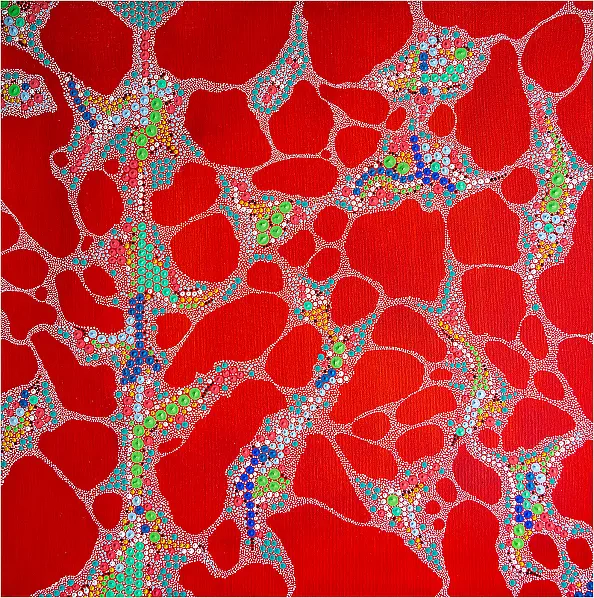 Mariusz Czajkowski - Inspirations aborigènes modernes et imaginaires #1