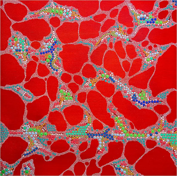 Mariusz Czajkowski - Inspirations aborigènes modernes et imaginaires #1