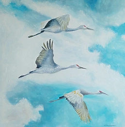 Dawid Arkita - flight imponderables