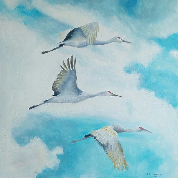 Dawid Arkita - flight imponderables