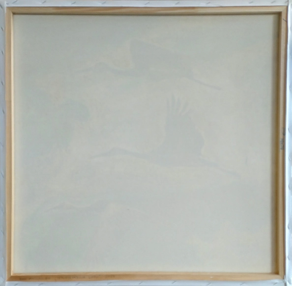 Dawid Arkita - flight imponderables