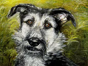 Katarzyna Niemczak - Among the grasses