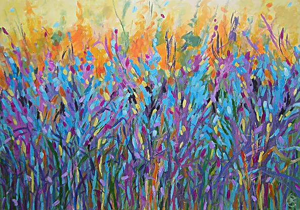 Dorota Iwona Kaminska - rainbow