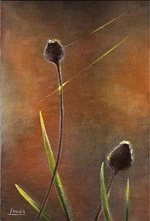 Ewa Gawlik - Babie lato