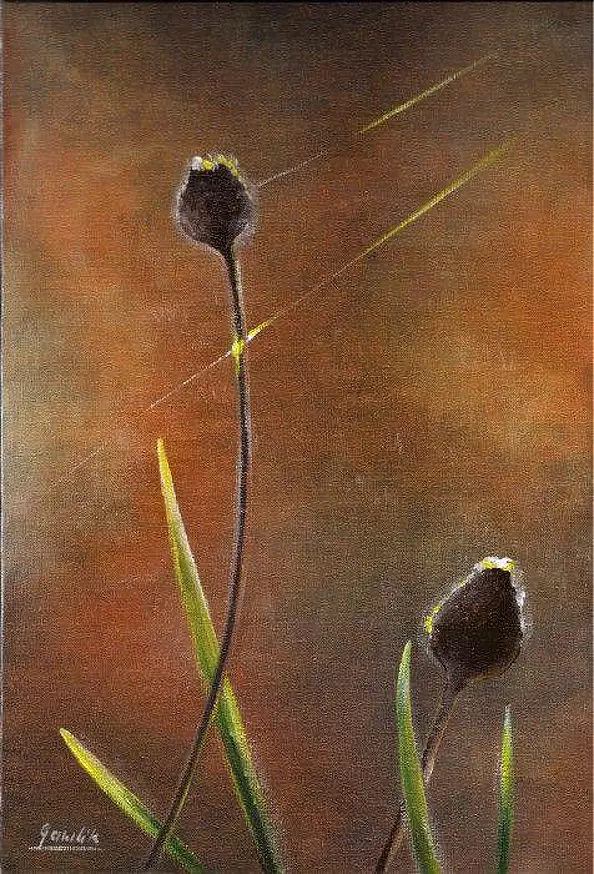 Ewa Gawlik - Indian summer