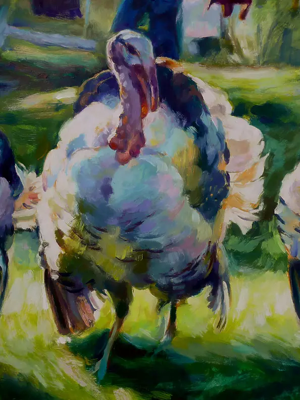 Barbara Gulbinowicz - Indyki 2