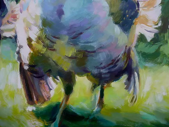 Barbara Gulbinowicz - Indyki 2