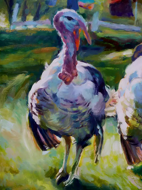 Barbara Gulbinowicz - Indyki 2