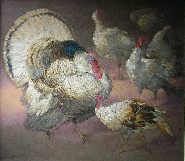 Ewa Lasek - turkeys