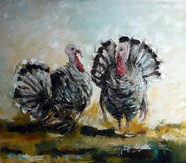 Michalina Derlicka - Indyki