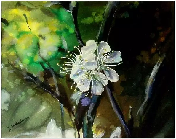 Joanna Magdalena - Innocence