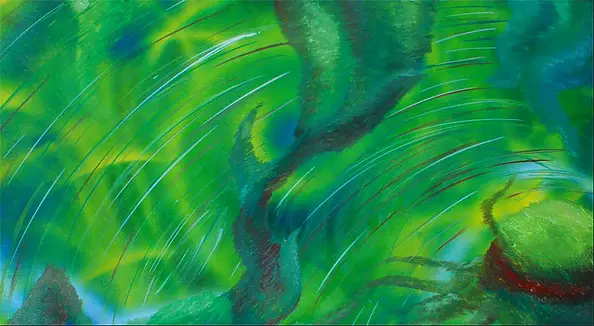 Krzysztof Popiołek - Wnętrze