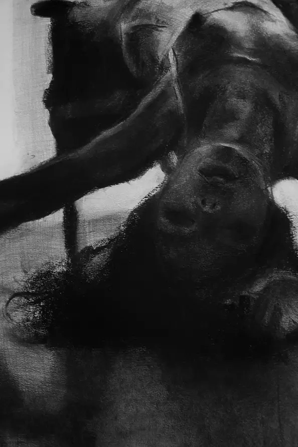 Kamila Ossowska - Insomnia